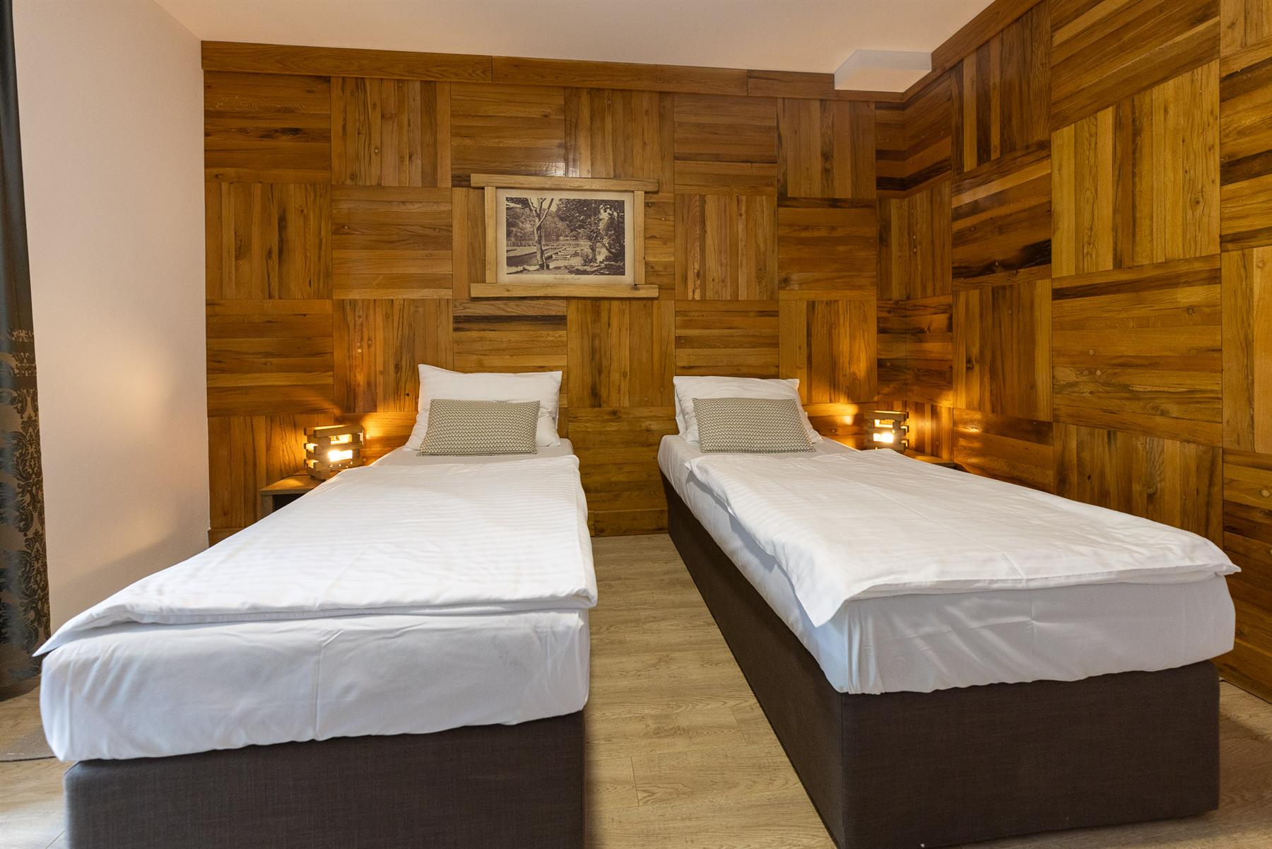 Deluxe Twin Room with wood-panelled wall